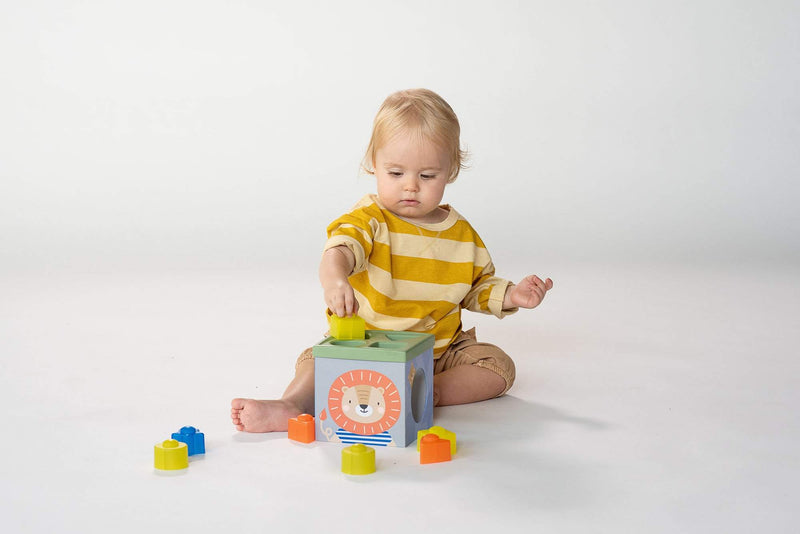 Savannah Sorteer & Stapeltoren-Taf Toys-baby,kinderen,nieuw,spelen